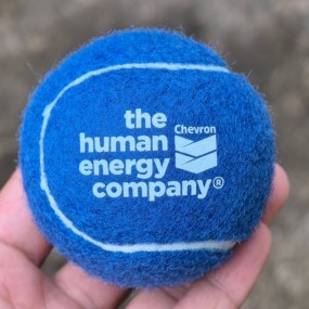 Tennisbälle mit Logo bedrucken ab 100 Stück