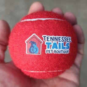 Tennisbälle bedrucken lassen mit Logo