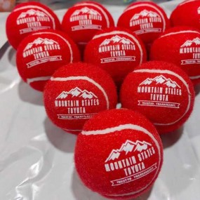 bedruckte Tennisbälle Preis Schweiz