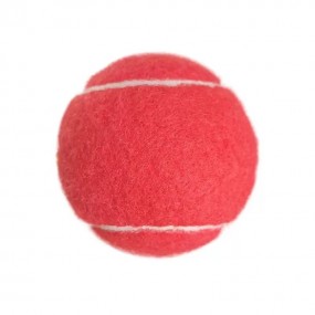Tennisbälle mit Logo günstig kaufen – Top Qualität & Dr...