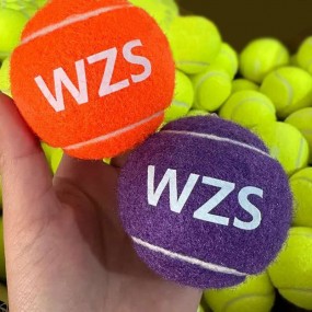 Tennisbälle bedrucken lassen mit Logo