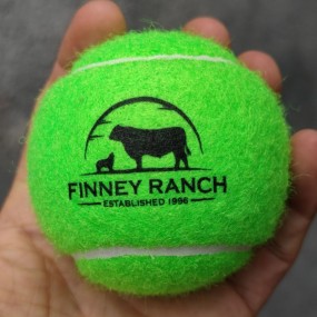 Tennisbälle bedrucken lassen mit Logo